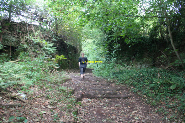 Photo 6"x4" Lightfoot Lane, Eaton Eaton\/SJ5763 c2009