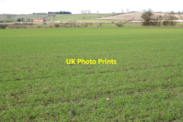 Photo 6"x4" Grassland west of Fields Farm Offchurch c2010
