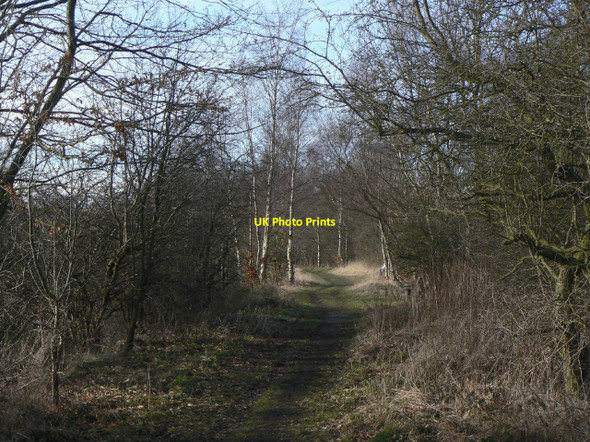 Photo 6"x4" Rowthorne Trail Moorhaigh c2010
