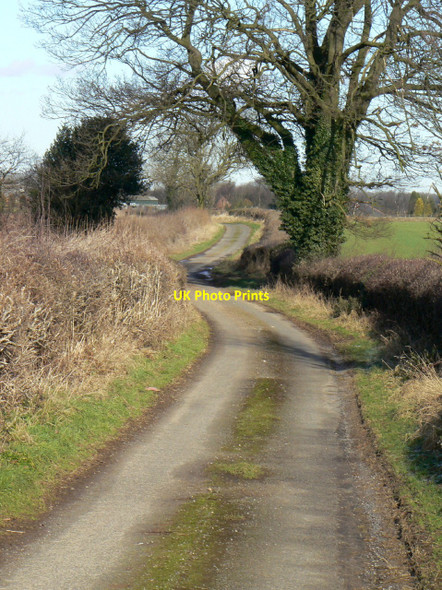Photo 6"x4" Dale Lane New Houghton\/SK4965 c2010