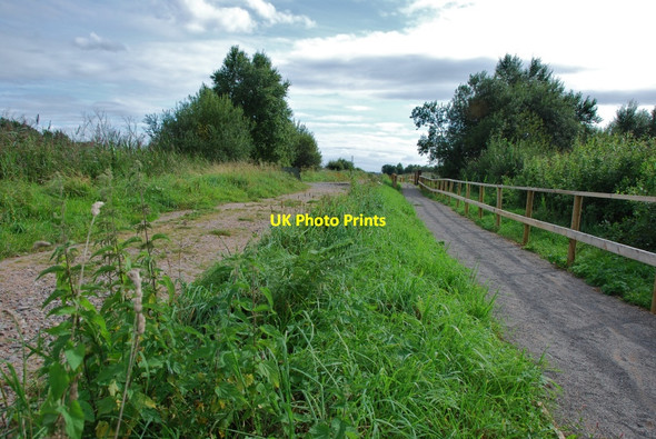 Photo 6"x4" Westhay Moor: Dagg's Lane Drove Bagley\/ST4545 c2009