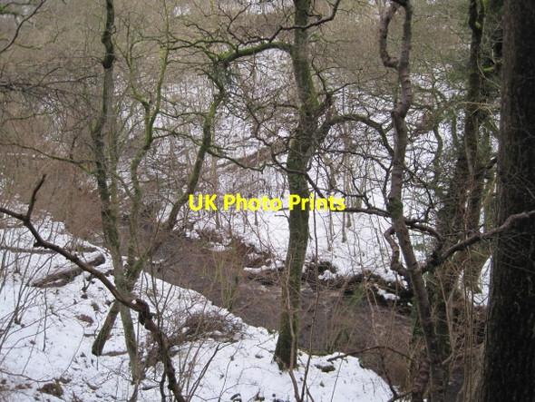 Photo 6"x4" Hareshaw Burn Bellingham\/NY8383 c2010