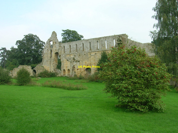 Photo 6"x4" Jervaulx Abbey Ellingstring c2006
