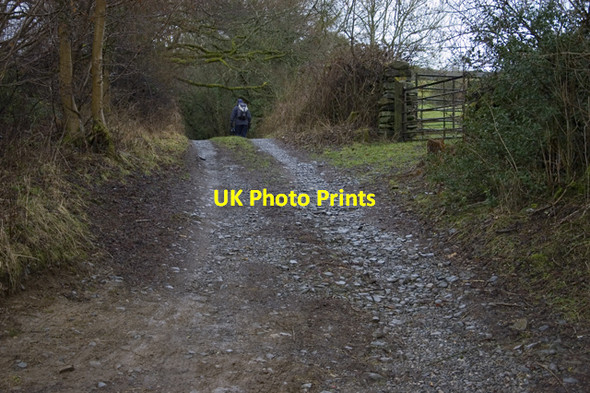 Photo 6"x4" Farm track near Starnthwaite Crosthwaite c2010