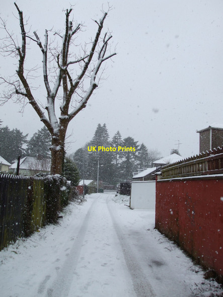 Photo 6"x4" Snow at Woodvale Avenue, Omagh Omagh c2010