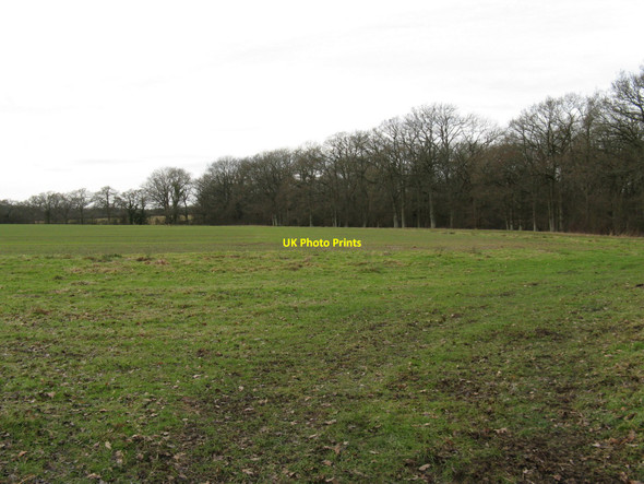 Photo 6"x4" Court Plantation east of Court Farm Balls Green\/TQ1023 c2010