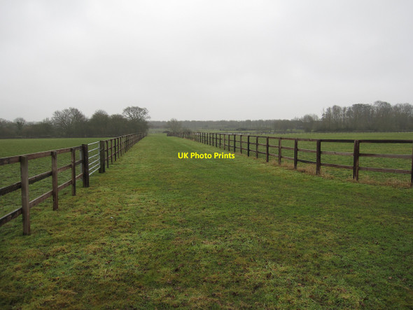 Photo 6"x4" Horse fencing Burrough Green c2010
