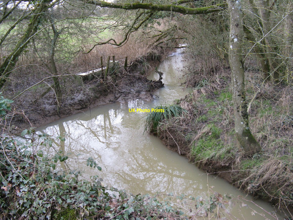 Photo 6"x4" Tributary of the River Adur Balls Green\/TQ1023 c2010