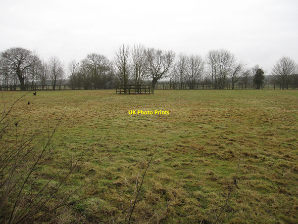 Photo 6"x4" Horse paddock by Icknield Way Dullingham Ley c2010