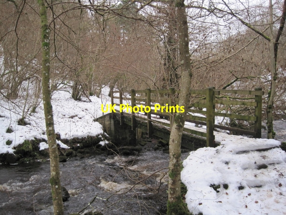 Photo 6"x4" The First Footbridge, Hareshaw Linn Gorge Bellingham\/NY8383 c2010