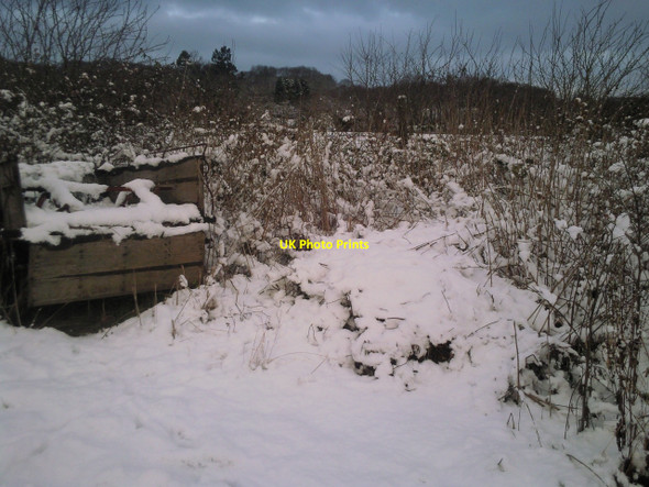 Photo 6"x4" Snowy scene at Woodlands Farm Bexley c2010