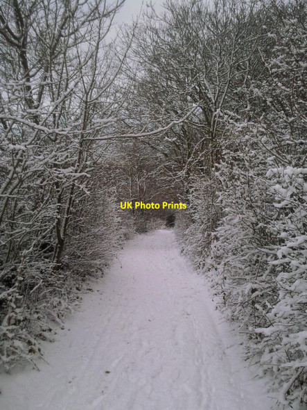 Photo 6"x4" Snowy trackway on Woodlands Farm Bexley c2010