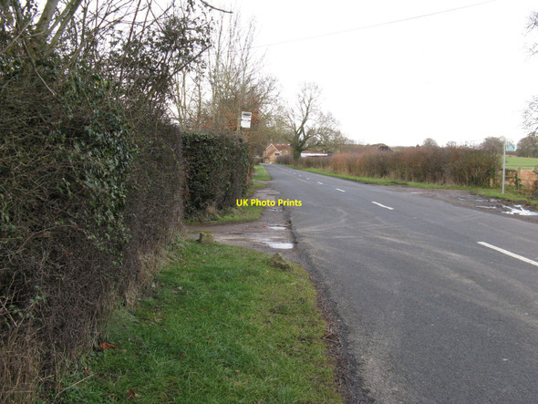 Photo 6"x4" View north on the Coolham to Brooks Green road Brooks Green c2010