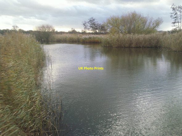 Photo 6"x4" A quiet part of the London Wetland Centre Barnes c2009