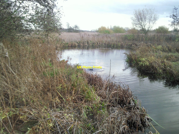Photo 6"x4" A pond at the London Wetland Centre Barnes c2009