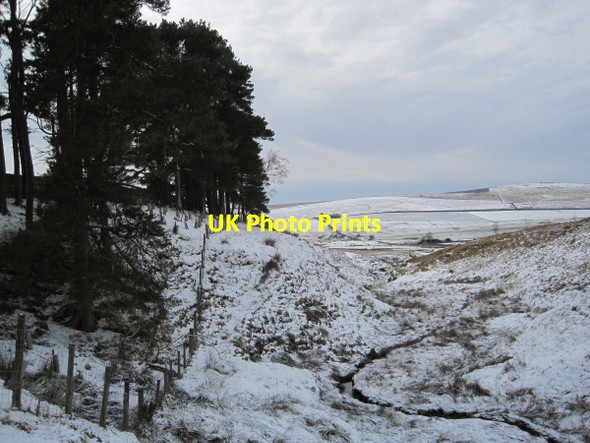 Photo 6"x4" Hazel Burn near Hareshaw House Abbey Rigg c2010