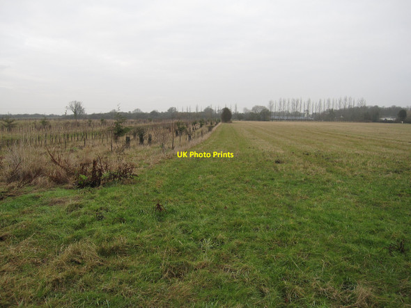 Photo 6"x4" Grassy area and new woodland Burrough End c2010