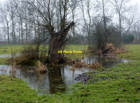Photo 6"x4" Low lying fields by the River Gipping Grinstead Hill c2010