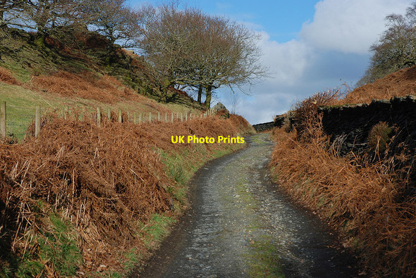 Photo 6"x4" Lane heading for Furnace Coed y Garth c2010