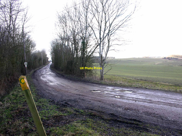 Photo 6"x4" Footpath along drive to Grove Farm Ettington c2010