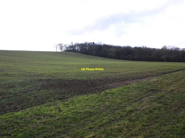 Photo 6"x4" Heath Wood Ettington c2010