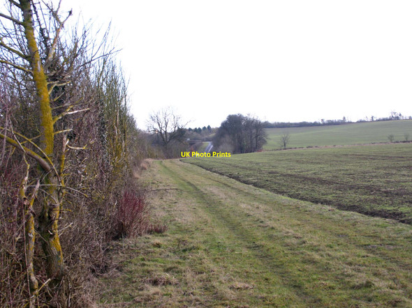 Photo 6"x4" Hedgerow along A422 Ettington c2010