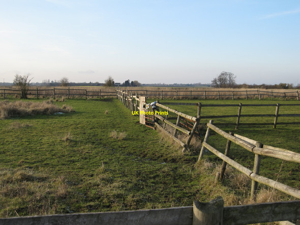 Photo 6"x4" Paddocks by Thirties Farm Stonea c2010