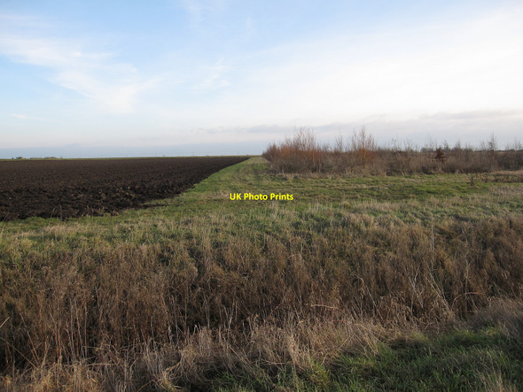 Photo 6"x4" New woodland by Black Drove Badgeney c2010