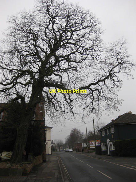 Photo 6"x4" Bigby Street, Brigg Brigg c2010