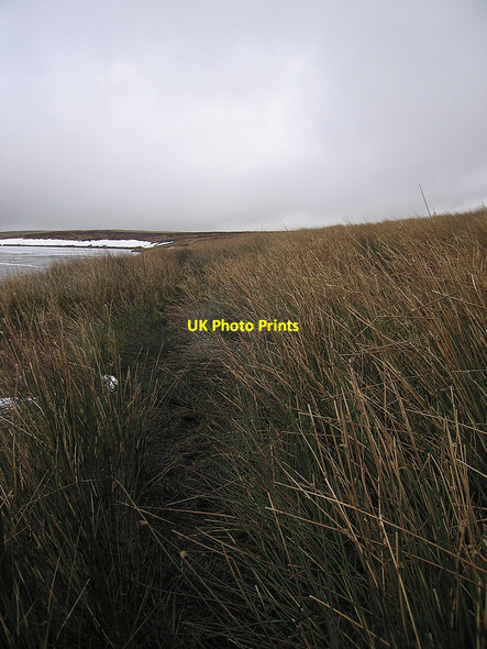 Photo 6"x4" Path through bog south of Glaslyn Bugeilyn\/SN8292 c2010