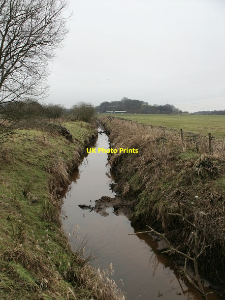 Photo 6"x4" The Shawend Burn in the Upper Kelvin Valley Kilsyth c2010