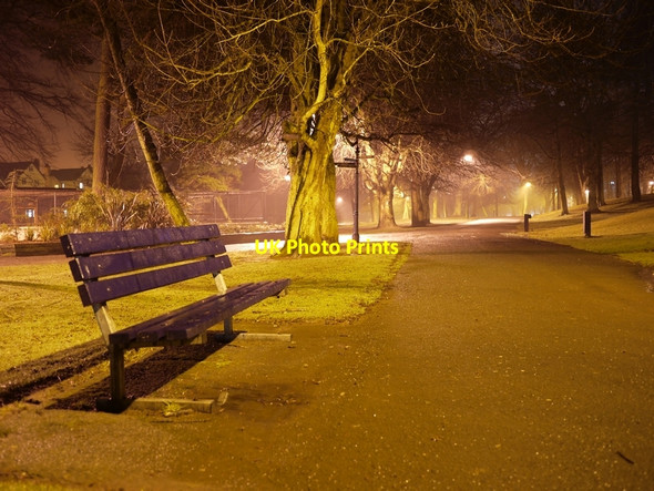Photo 6"x4" Ward Park at night Bangor\/J5081 c2010
