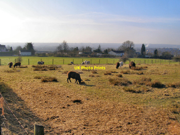 Photo 6"x4" Farmland between Ainsworth and Breightmet Little Lever c2010