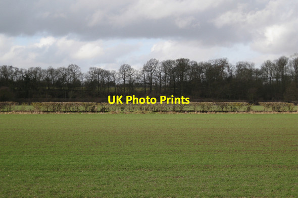 Photo 6"x4" Looking northwest to Rock Spinney Bubbenhall c2010