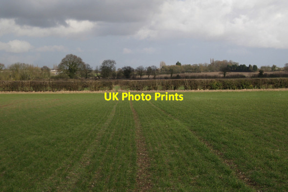 Photo 6"x4" Looking northeast to the next hedge Bubbenhall c2010