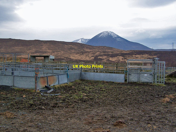 Photo 6"x4" Sheep fank by the Heaste road Blackpark\/A' Phairce Dhubh c2010