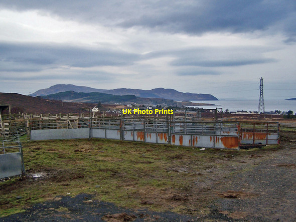 Photo 6"x4" Sheep fank by the Heaste road Blackpark\/A' Phairce Dhubh c2010 P1