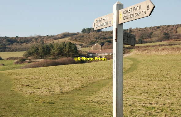 Photo 6"x4" Stonebarrow Coast Path Catherston Leweston c2008