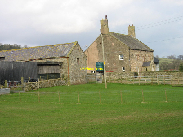 Photo 6"x4" Lanerton Farm Low Row\/NY5863 c2007