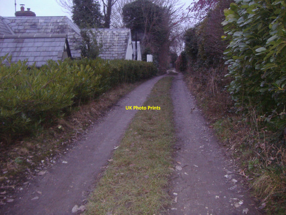 Photo 6"x4" Bridleway Leatherhead Leatherhead c2010