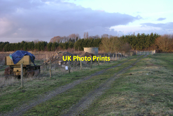 Photo 6"x4" Conifer screen to Ryton Lodge Bubbenhall c2010