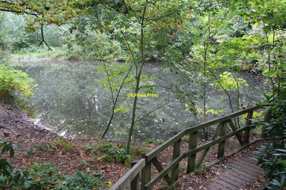 Photo 6"x4" Pond, Grappenhall Heys Wrights Green c2009