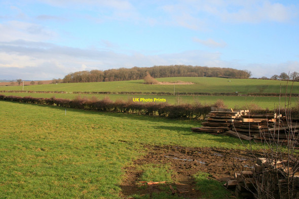 Photo 6"x4" Worner Wood Bathley c2010