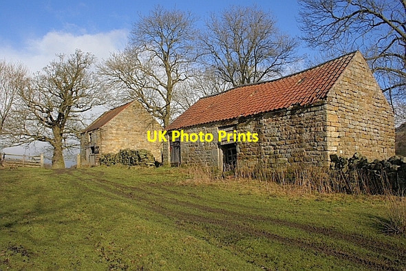 Photo 6"x4" Grimes Holme Hawnby c2010