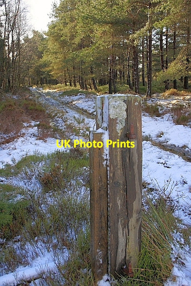 Photo 6"x4" Gatepost, Rievaulx Moor Rievaulx c2010
