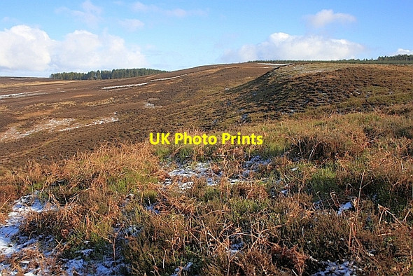 Photo 6"x4" Tod Hill Roppa Wood c2010