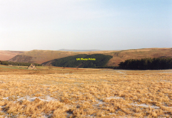 Photo 6"x4" View Towards Chesters Linhope\/NT9616 c1991