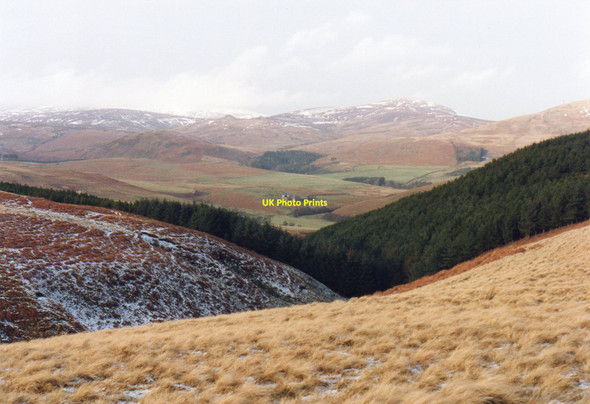 Photo 6"x4" Cobden Burn Valley Linhope\/NT9616 c1991