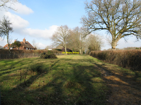 Photo 6"x4" Northern end of Kent's Lane near Bunkershill Plumpton Green c2010