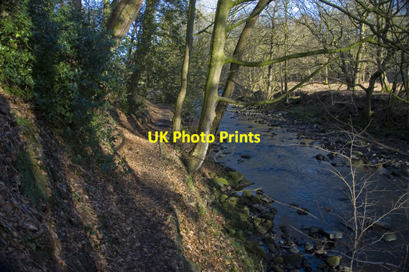 Photo 6"x4" Riverside path Brook Bottom\/SD5442 c2010